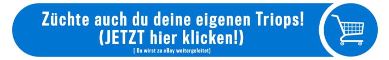 kaufen_Button