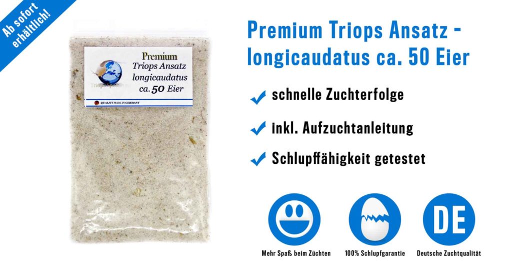 Triops Eier kaufen